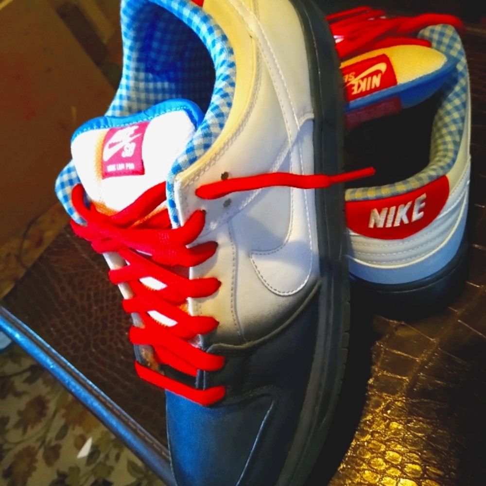 Nike "Dorothy" sb dunk low pro,